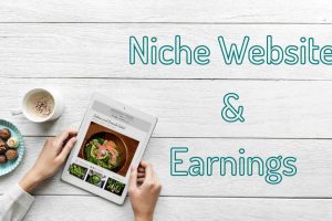 What-is-a-niche-website-and-how-much-canyou-earn-from-it-WeeBros