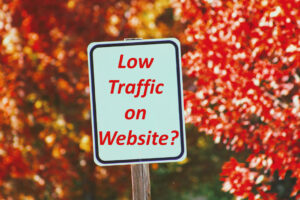 Why Your Blog Website is getting low Traffic?
